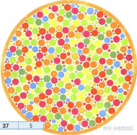 色弱测试图及答案 王克长第二版 驾考,体检,征兵专用