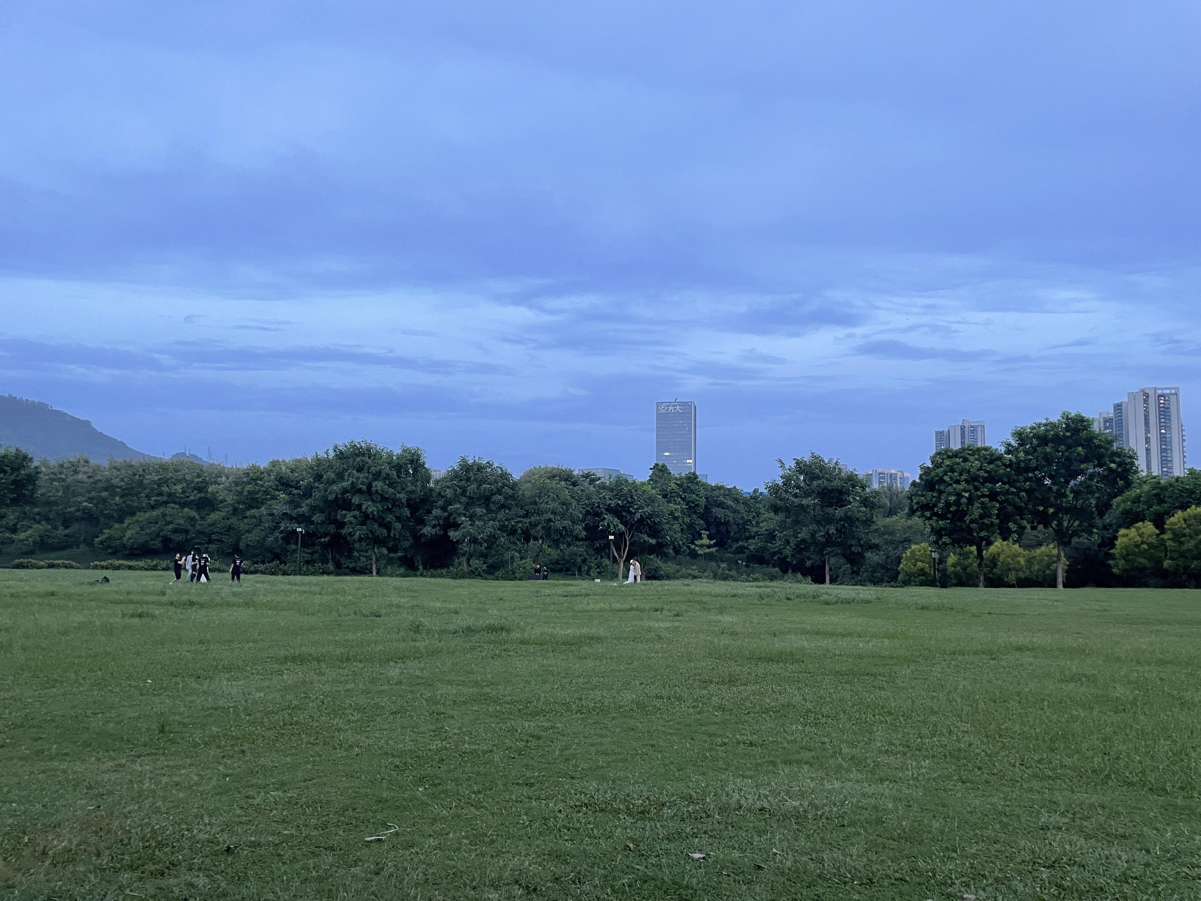 大沙河公園