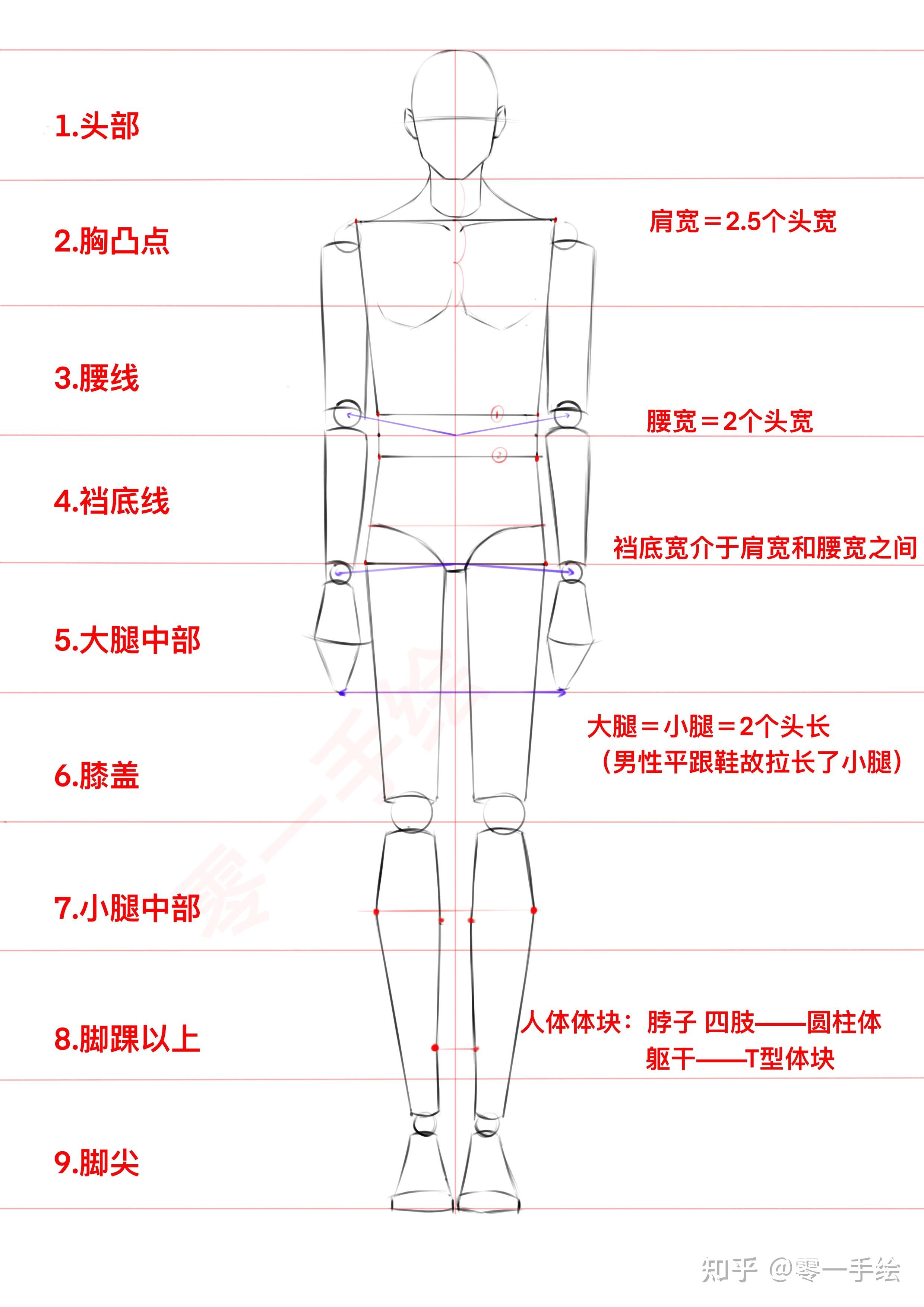 服装设计手绘入门基础系列一男人体比例