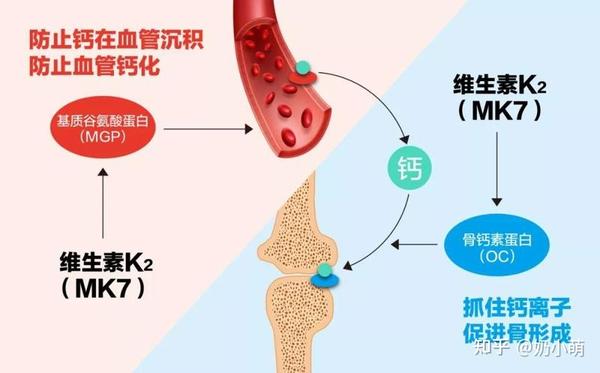 如何选择钙剂，科学补钙~ 知乎 