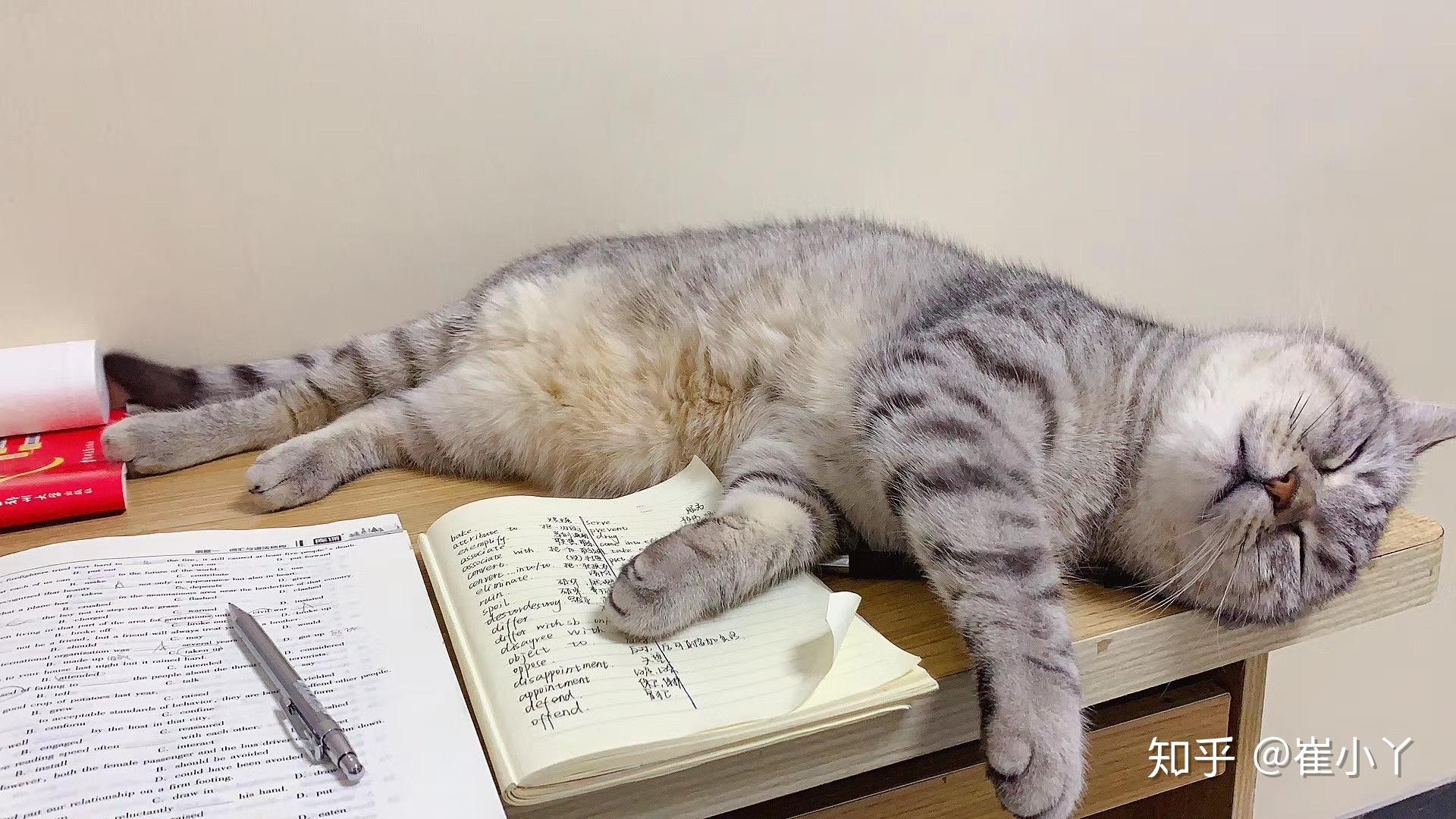 关于河南专升本的个人经验之谈插图3 关于河南专升本的个人经验之谈插图3