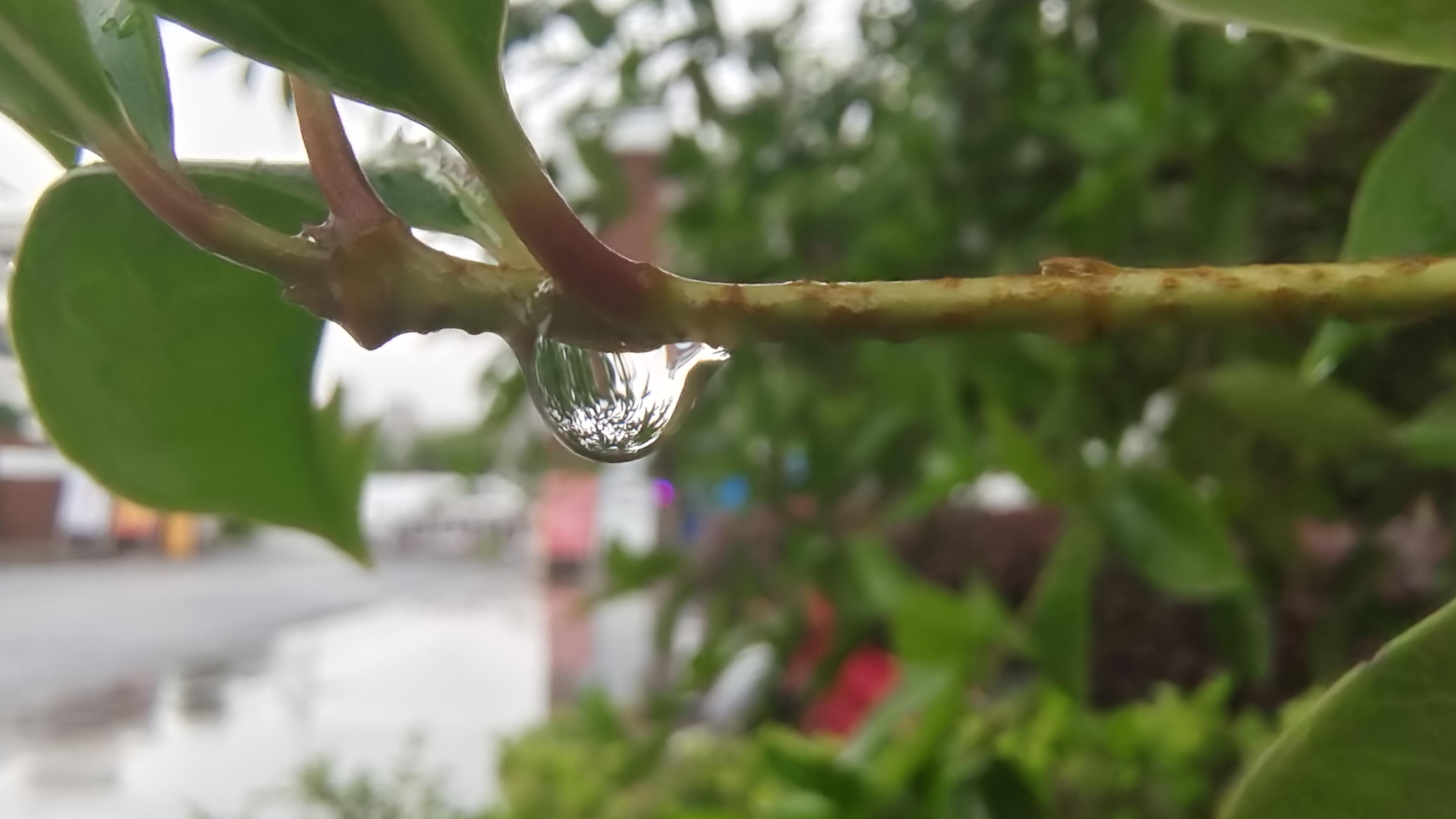 吉安随拍 小雨滴 一道迷人的美丽风景