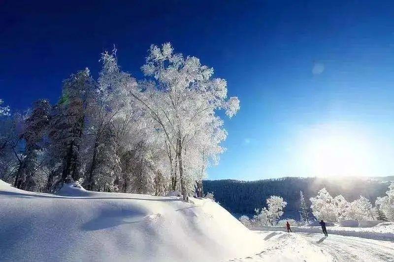 冬日的長白山美瘋了賞景打雪仗泡溫泉滿足你對冬天的幻想