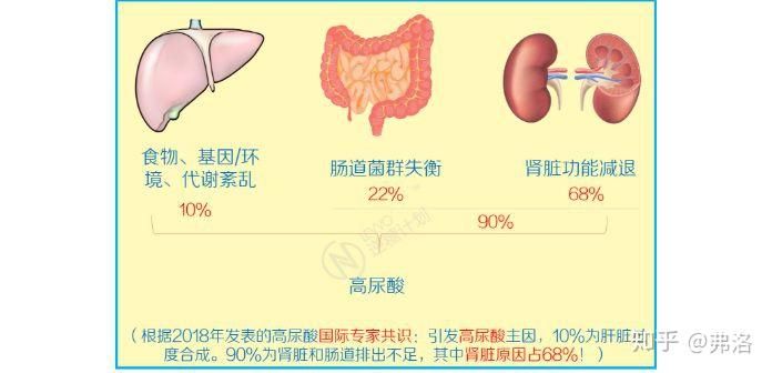 低碳饮食=高尿酸=痛风?事情远比你想象得复杂!