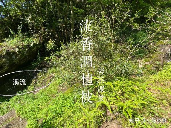 听过牛栏坑、慧苑坑、倒水坑,但三坑两涧里的流香涧,你知道吗? - 知乎
