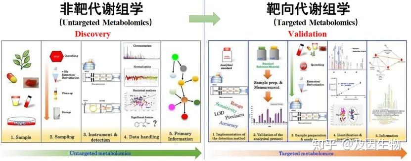 收藏！轻松掌握代谢组学结果解读 - 知乎