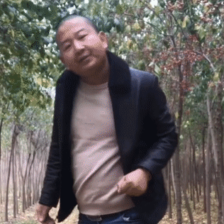 316_316gif 动态图 动图