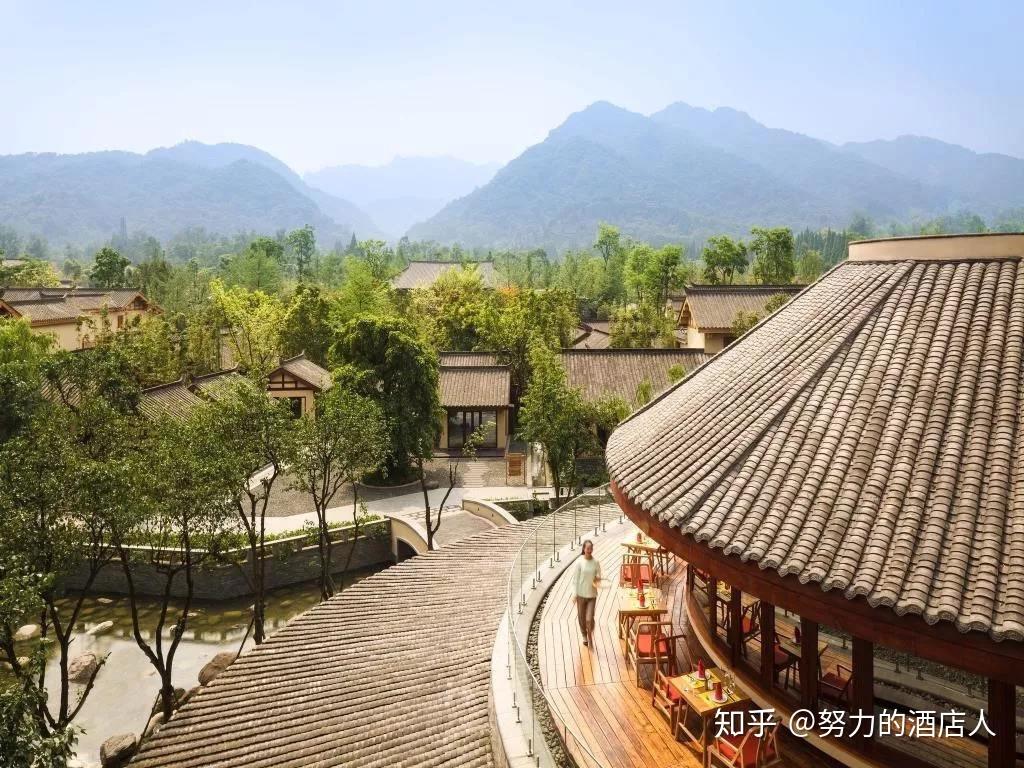 努力的酒店人说六善酒店的触动人心