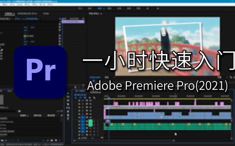 新手要怎么学Pr？ - 知乎