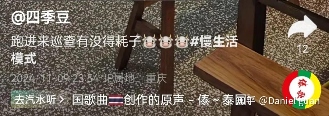 餐馆老板捡了一只“招财猫”，准点上班还任客人摸？网友：喷不了，这种屎黄色的猫最招财！ - 知乎