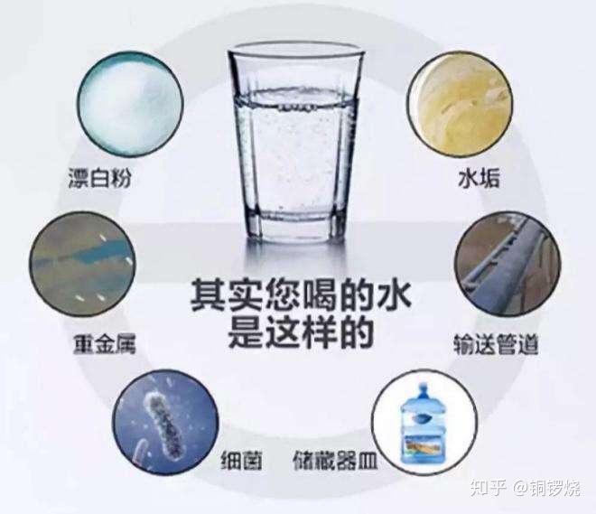 v2-ac831c8e17e5174b4f1265febb475a07_r.jpg