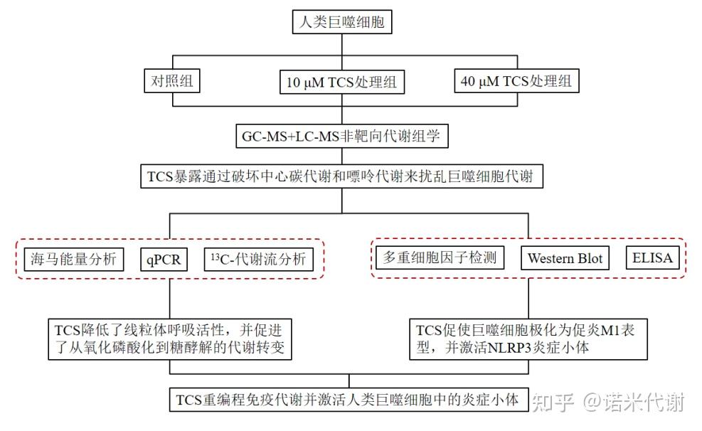 【全谱代谢组专题】文章精读解析LC-MS和GC-MS双平台联用如何成文 - 知乎