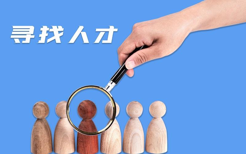 看不到大厂的车尾灯中小企业如何布局人才