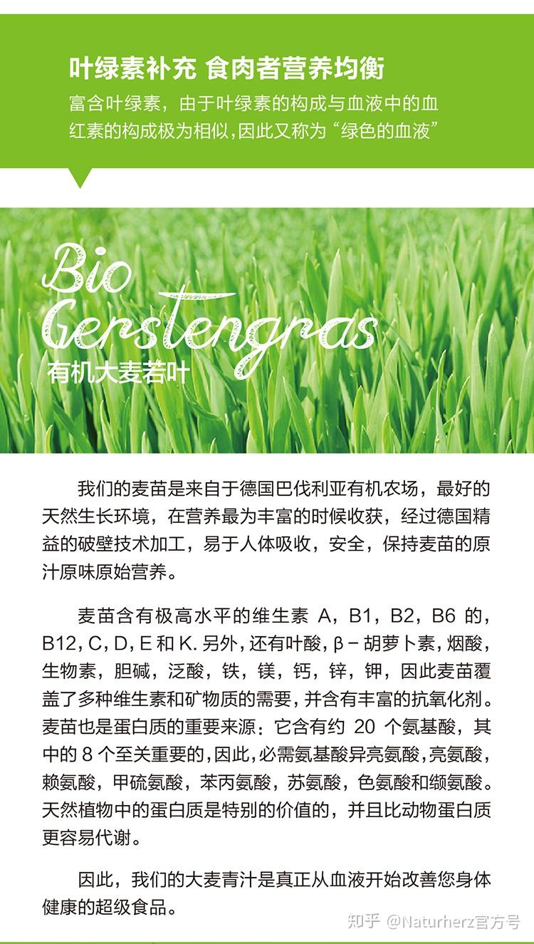 大麦若叶的功效