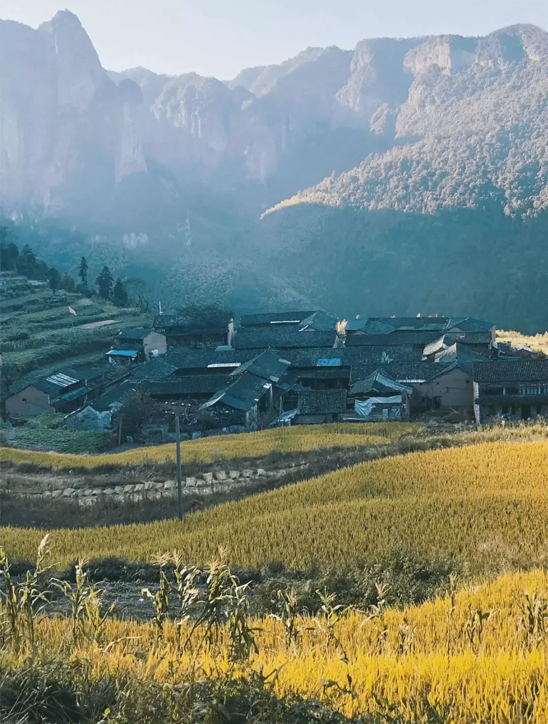 1,神仙居——媲美张家界的森林图源@tomate神仙居景色非常美,号称浙东