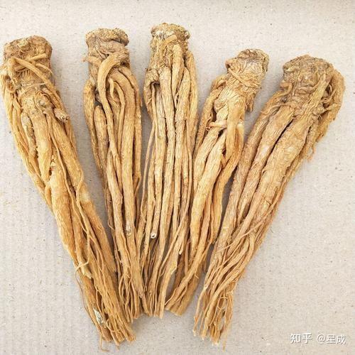 你知道“补血”的中药有哪些吗? - 知乎