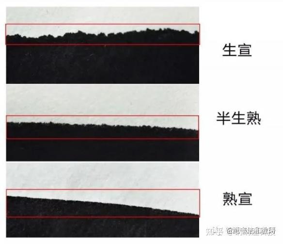 看图识纸“生宣 熟宣 半熟宣” - 知乎