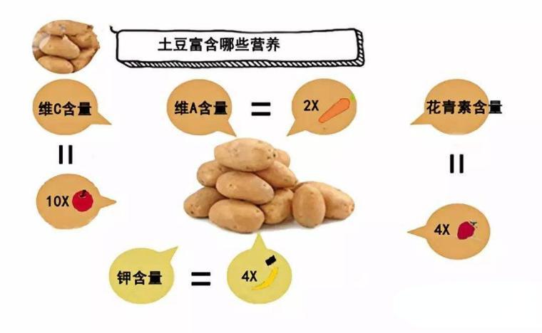 另外,在营养方面,我们也不需要担心将土豆作为主食营养跟不上.