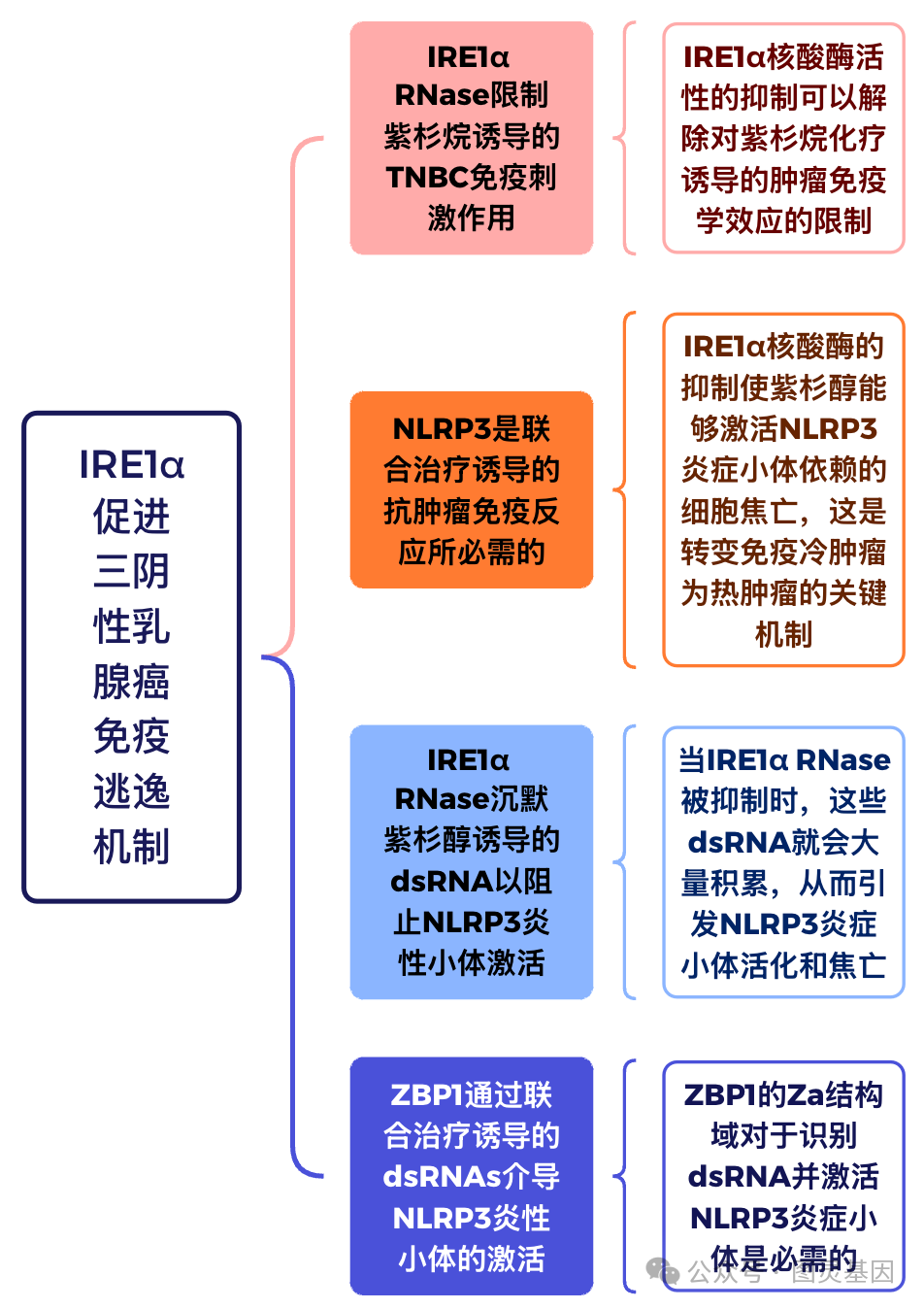 Cell | 安德森癌症中心陈曦团队发现IRE1α促进三阴性乳腺癌免疫逃逸 - 知乎