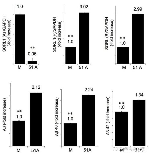 干货：反义lncRNA分子模型及实验方法 - 知乎