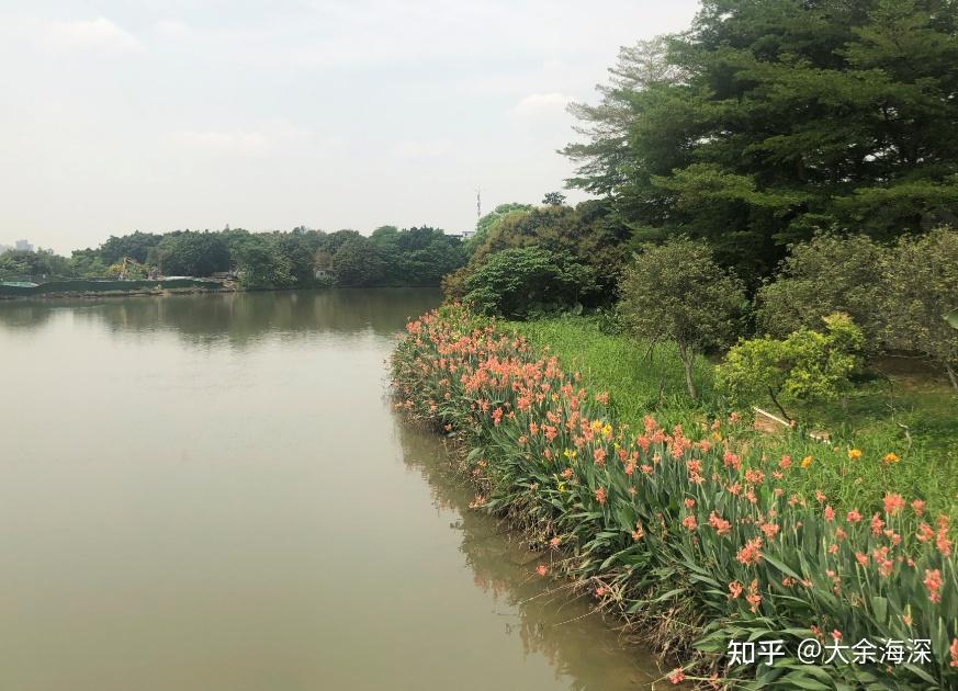 廣州海珠溼地公園半日遊清明踏青