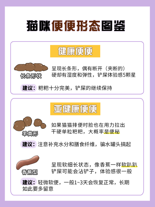 猫咪便便的8种形态丨自查猫咪健康状况 - 知乎