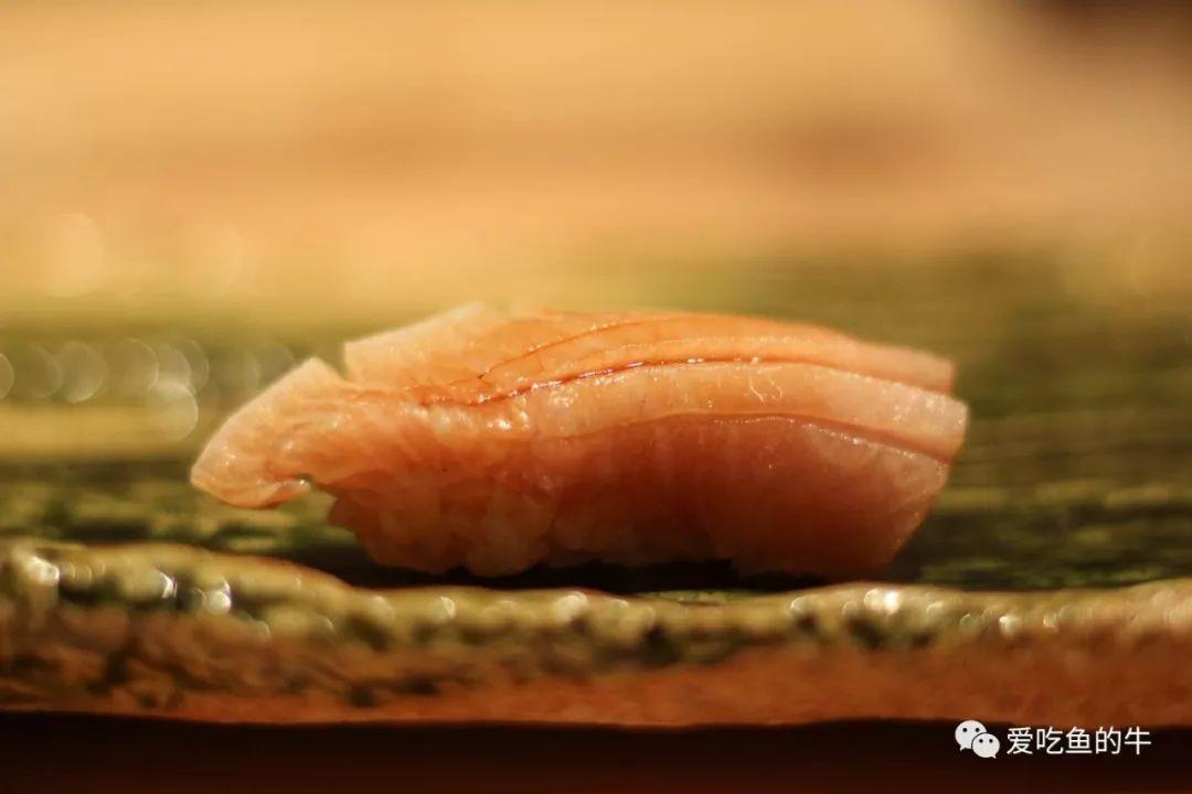 鰤鱼，日料里冬季的顶级食材 - 知乎