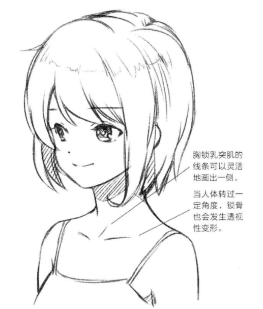 动漫人物肩膀画法教程