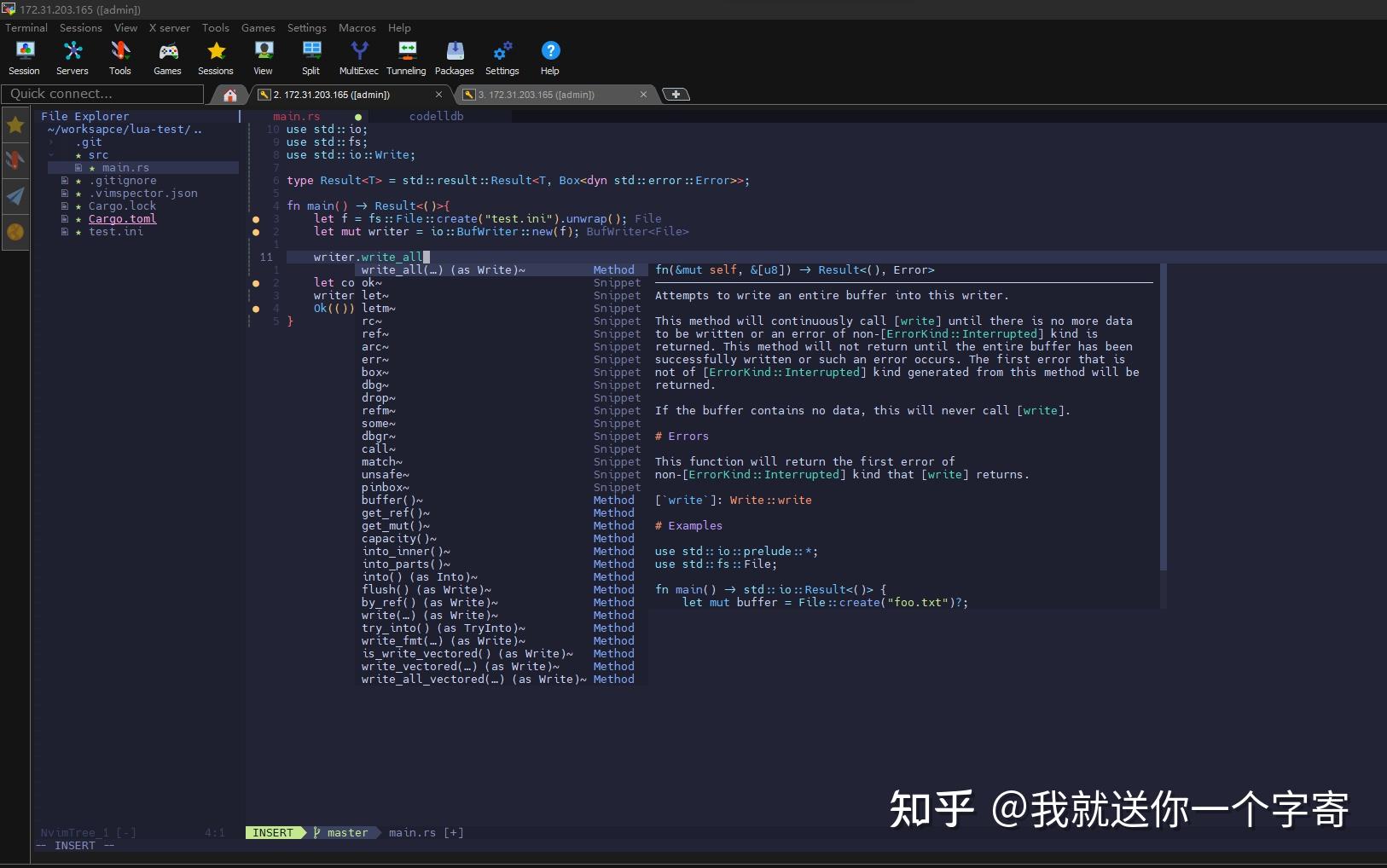 从零开始:使用Neovim搭建Rust开发IDE - 知乎