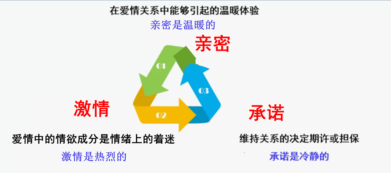 爱情的组成部分无爱:三个因素都不具备喜爱:只有亲密关系痴迷的爱