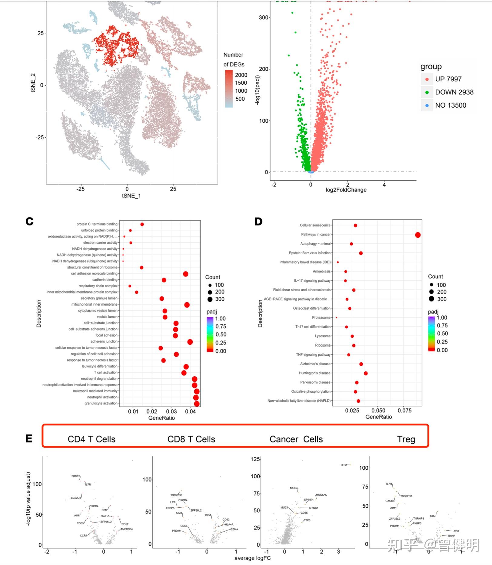 各个单细胞亚群独立在两个分组做差异分析 - 知乎