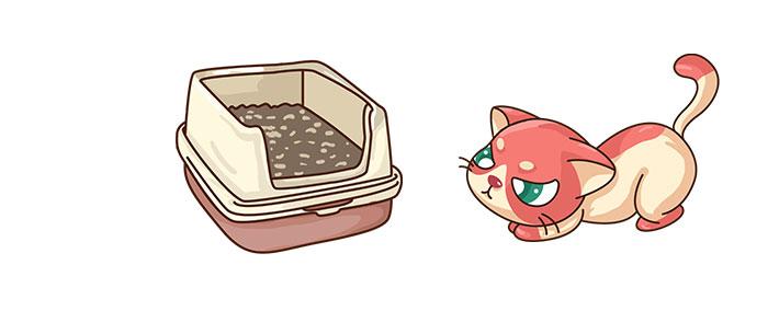 如何正确给猫咪换猫砂主人们要记住这几点