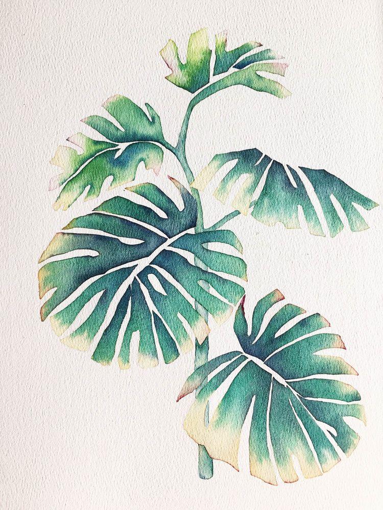 水彩新手教程湿画接色练习龟背竹