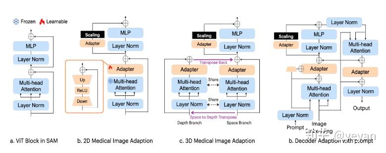 SAM Finetune sam SAM Finetune sam