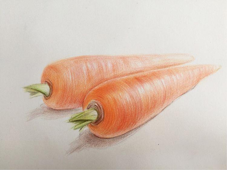 画画入门教程只是画一个简单的胡萝卜但有很多画面关系哦