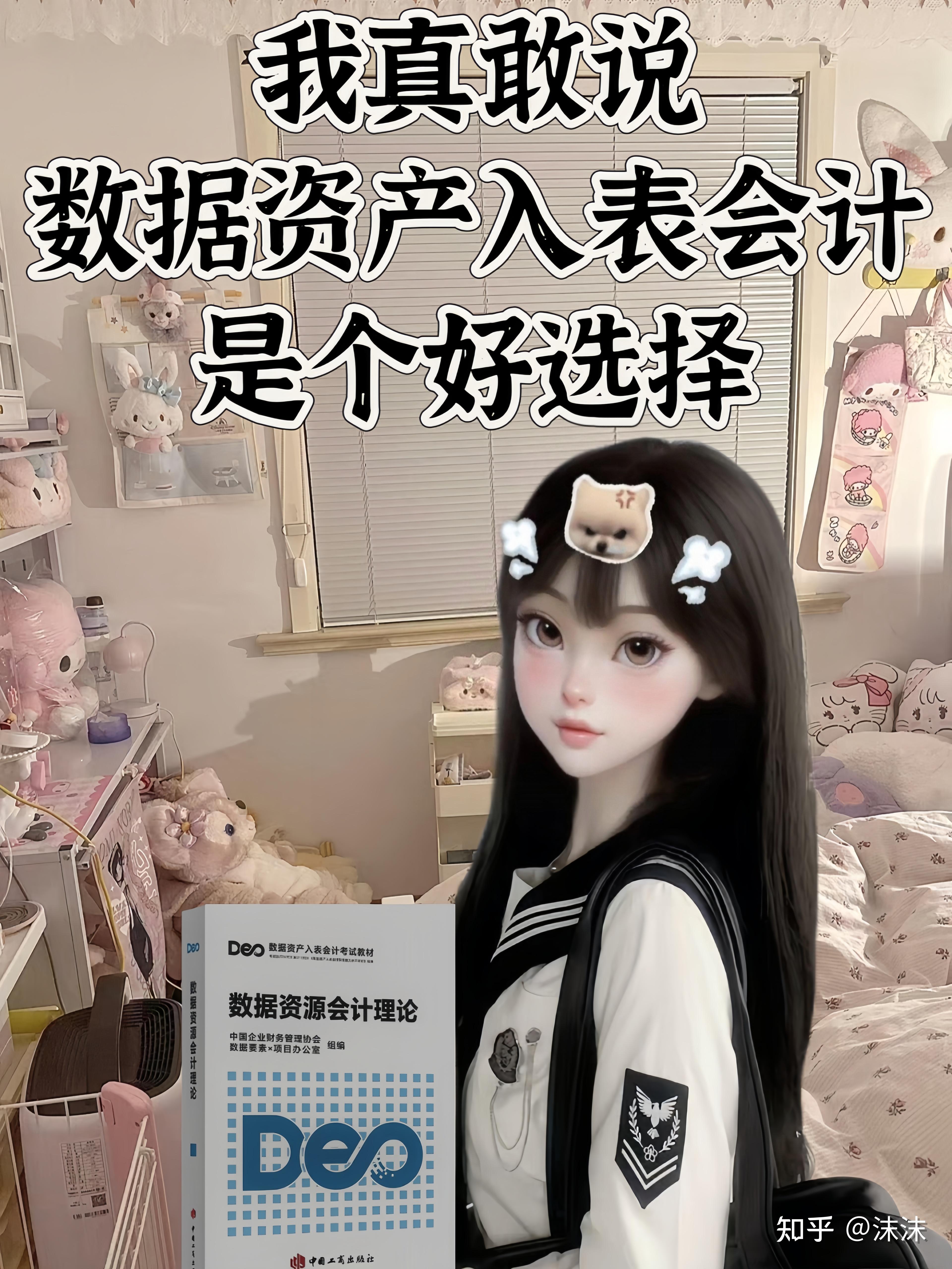 数据资产入表会计，数据资产入表会计考试