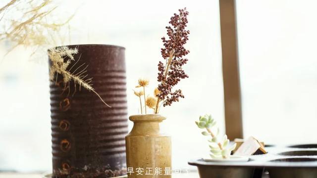 早安心语阳光图片 清晨的阳光唯美句子