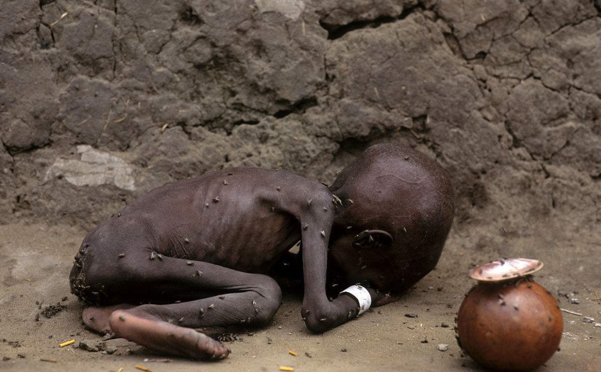饥饿的苏丹构图图片