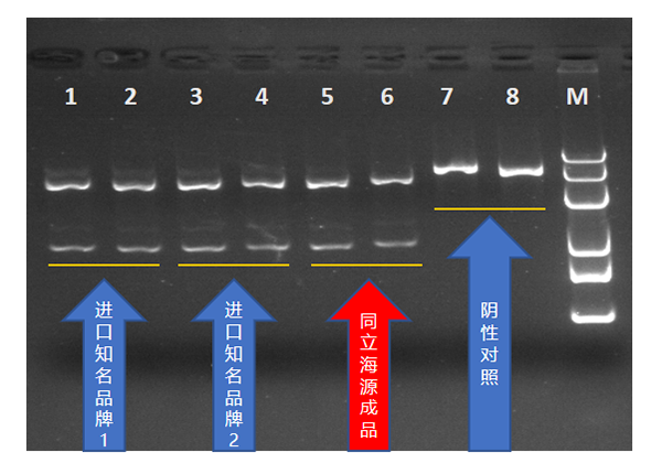 1,cas9 核酸酶活性测定测试数据:5, 严格按gmp要求生产4, 高稳定性和