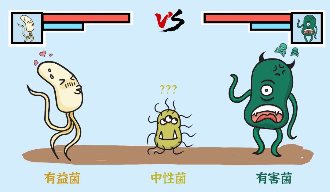 千万别小瞧肠道菌群!