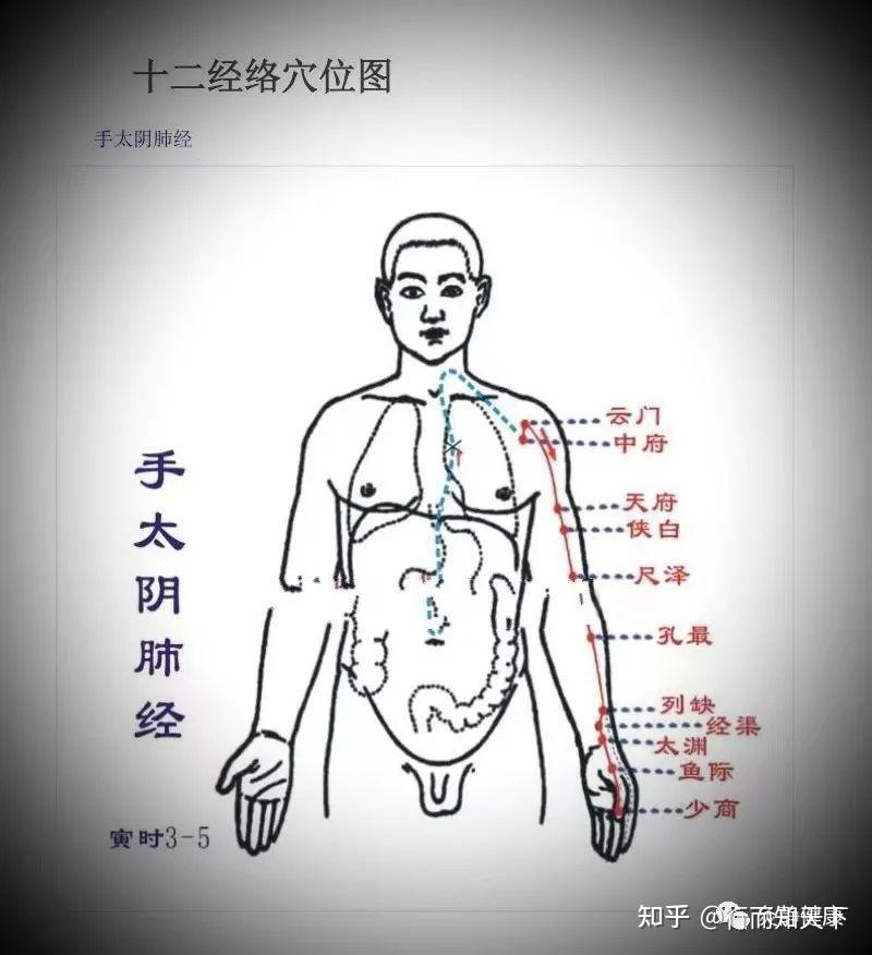 足少阴心经循行路线图图片