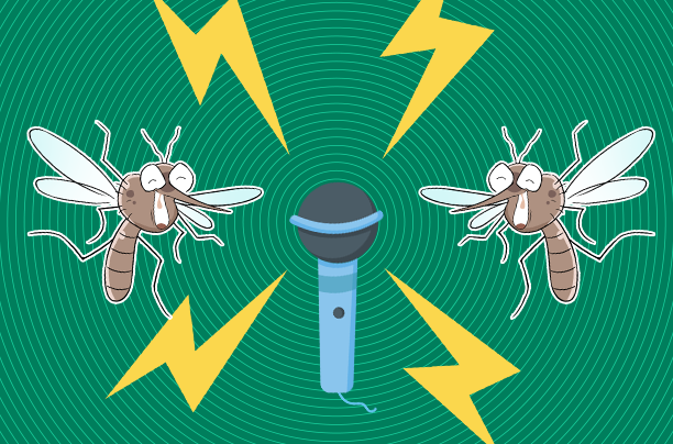 "蚊子在你耳边开party蚊子的声音为啥这么