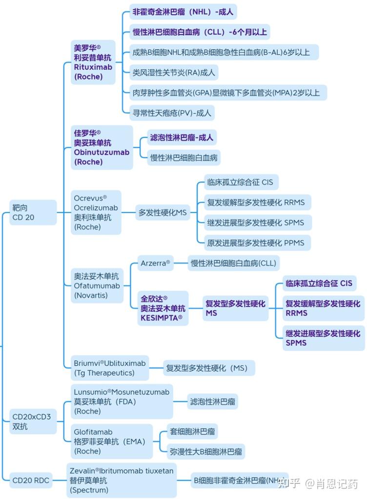记住所有FDA生物药 | 最后3款CD20 | 奥法妥木单抗,Ibritumomab tiuxetan,Ublituximab - 知乎