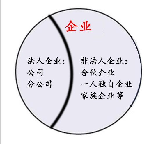 法人、法定代表人、法人代表区别？企业法人=法人企业=公司？ - 知乎