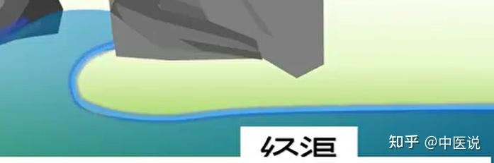 1肺经穴位记忆 - 知乎