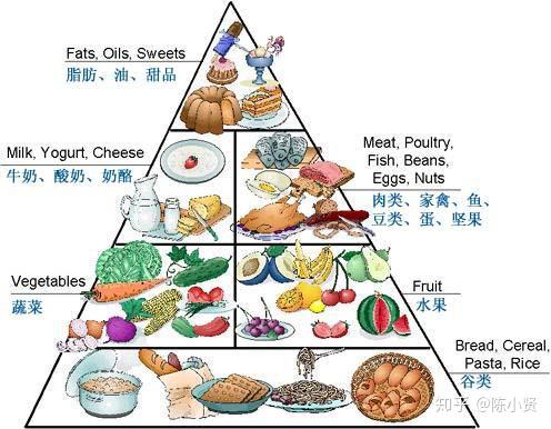 全球科学家一致承认的膳食金字塔,我敢说没有一个人能真正做到