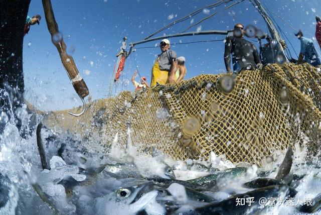 a股日本秋刀鱼检出致癌物质超过40倍国产水产品有望爆发名单