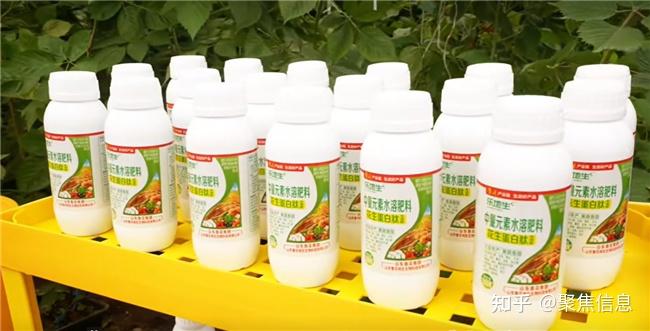 鲁花科技助力京郊果蔬提质增产 - 知乎