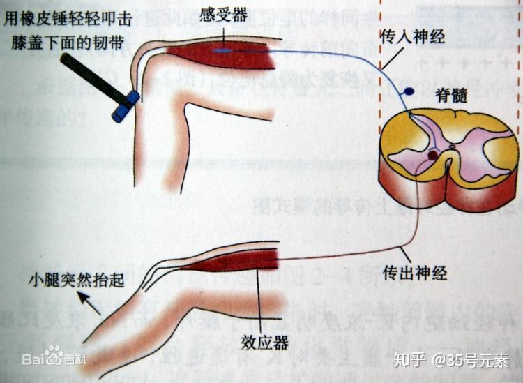 v2-ae01ff5cb8016a8ec16ebd11622e4bed_r.jpg