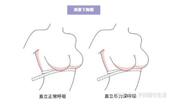一,如何正确测量胸围
